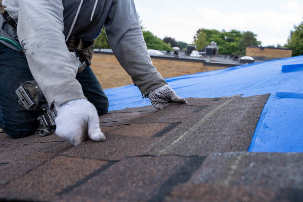 Best Roof Maintenance Services  in Sewaren, NJ
